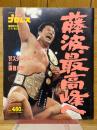 週刊プロレス　1991年4月臨時増刊号　No.427