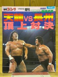 週刊ゴング　1993年1増刊号　天龍vs長州頂上対決
