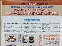 週刊プロレス　1993年5月緊急増刊号　Ｎｏ.552