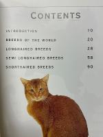Giant book of the CAT
