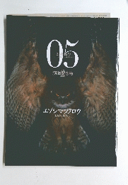 週刊日本の天然記念物・動物編　５　エゾシマフクロウ