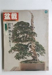 盆栽 月刊近代戦車