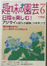趣味の園芸日陰を楽しむ!　　2004年6月号