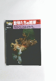 動物たちの地球76