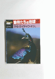 朝日百科　17　動物たちの地球　10/13