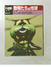 動物たちの地球　73　11月15日号