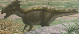 しぜん 11