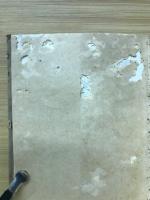リンゴ栽培の実際