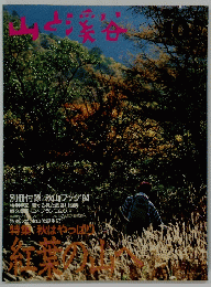 山と渓谷 1994年10月