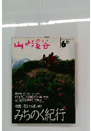 山と渓谷　１９９３年６月号