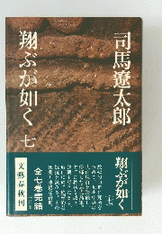 翔ぶが如く　七