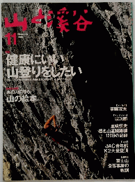 山と渓谷　1996年11月号