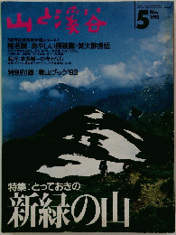 山と渓谷　１９９３年５月号