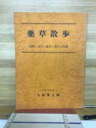 薬草散歩　実際に役立つ薬草と毒草の知識
