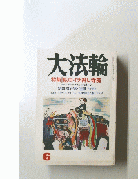大法輪 6