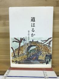 道はるか　楊名時太極拳に学ぶ吉川嘉之師範と仲間たち　難病と闘う姿を支えて