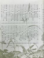 野草をいける