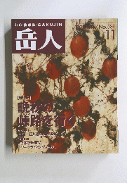 岳人 No.581　1995年11月号