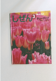 しぜん　3　チューリップ