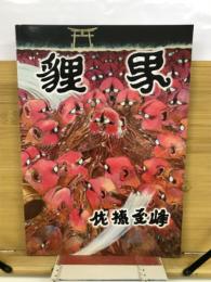 狸界　
