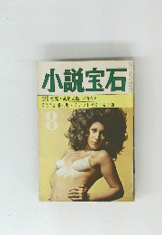 小説宝石
