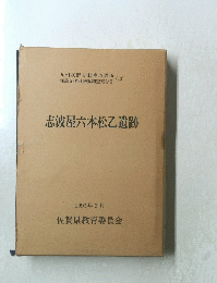 志波屋六本松乙遺跡 1991年3月