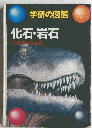 化石・岩石　かせき・がんせき