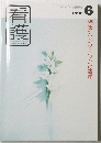 看護　1996年6月号