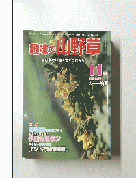 趣味の山野草　11月1981　No.16