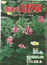 趣味の山野草　８月号　1981　No13