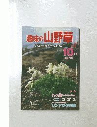 趣味の山野草　10月号1981　No15