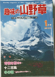 趣味の山野草　1月号　1982　No18