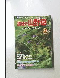 趣味の 山野草 自然を守り緑を育てる月刊誌　１９８２年２月号　No．19
