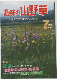 趣味の 山野草　1982年7月号　