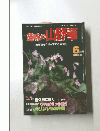 趣味の山野草　6月号　1982　No23