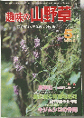 趣味の山野草 自然を守り緑を育てる月刊誌　１９８２年５月号　No．２２