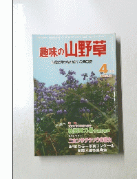 趣味の山野草4月号　1982　No21