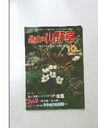 趣味の山野草　1982年10月号　