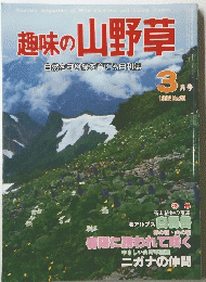 趣味の山野草　３月号　1982　No20
