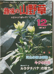 趣味の山野草　1981年12月号　