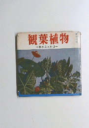 観葉植物　作り方の手引