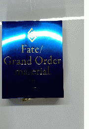 Fate/ Grand Order material　III