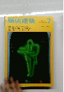 商店建築　30　１９８５年７月号