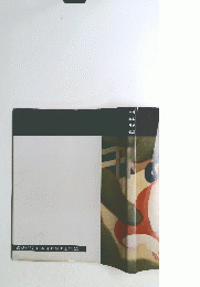 講談社版日本近代絵画全集22
