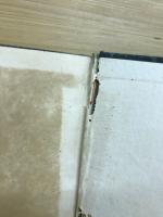鶏の栄養と飼料