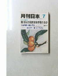 月刊日本　7
