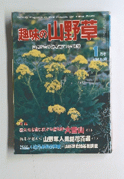 趣味の山野草　1983年1月号