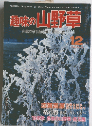 趣味の山野草　1984年12月号