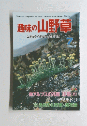 趣味の山野草　1983年7月号