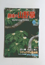 趣味の山野草　 1988年6月号　 No. 35